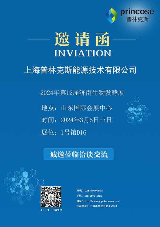 上海普林克斯能源技术有限公司